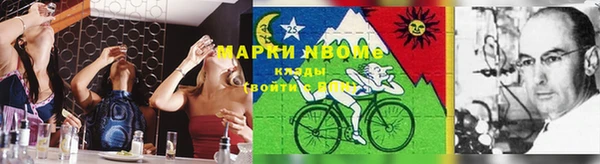 мяу мяу мука Горно-Алтайск