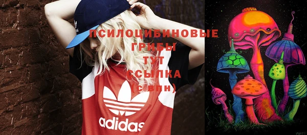 мет Гусиноозёрск