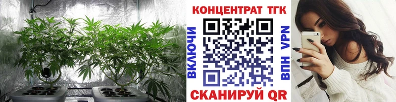 ТГК THC oil  omg ONION  Вязьма 