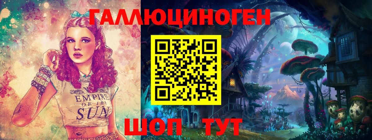 Псилоцибиновые грибы Cubensis  Вязьма 