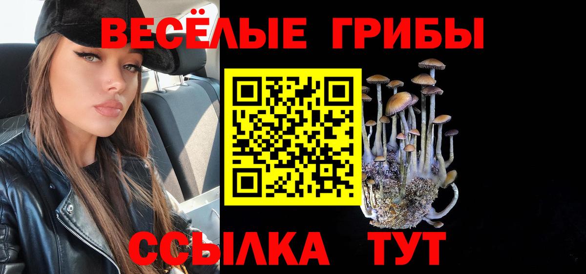 Галлюциногенные грибы GOLDEN TEACHER Вязьма