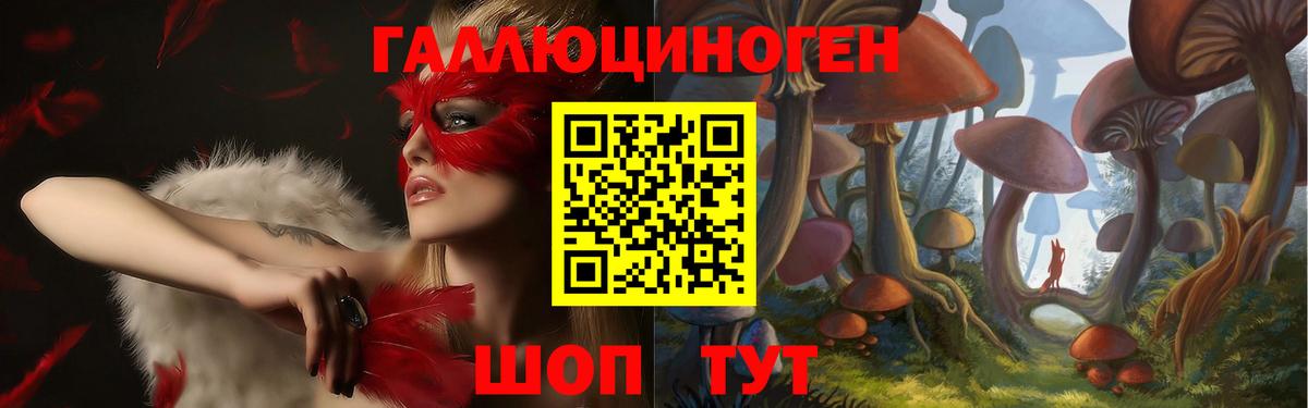 Галлюциногенные грибы Psilocybine cubensis  Вход с VPN  купить наркотик  Вязьма  Псилоцибиновые грибы мицелий 